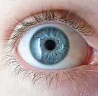 200px-Blueye---3.jpg