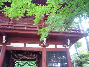 本土寺 003.jpg-----.jpg