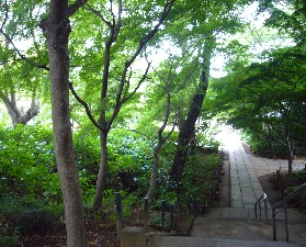 本土寺 005.jpg-^-^16.jpg