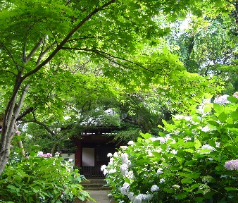 本土寺 015.jpg-^-^b.jpg